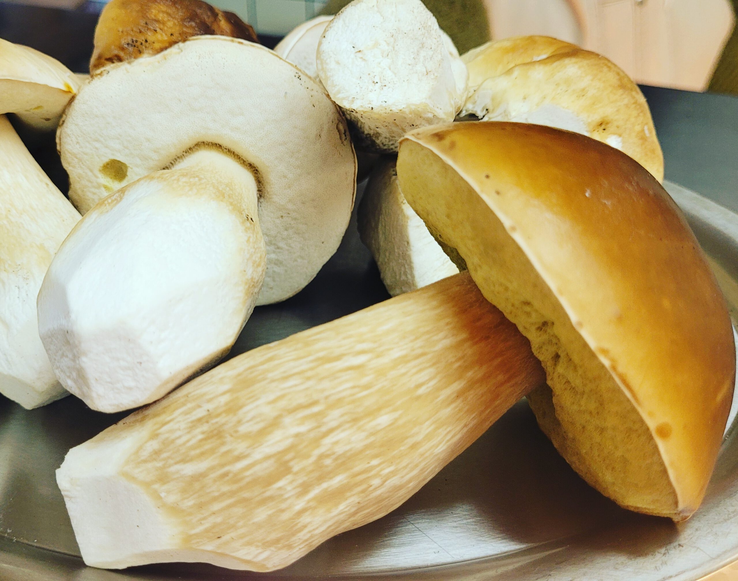 Steinpilze regional Tageskarte